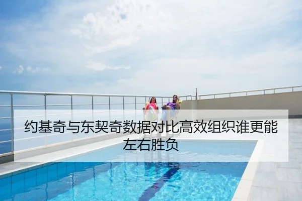 约基奇与东契奇数据对比高效组织谁更能左右胜负